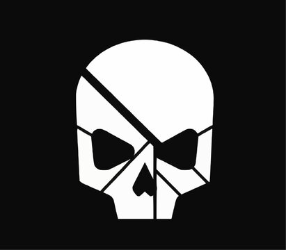 This is a striking, minimalist graphic of a human skull rendered in solid white against a black background. The skull is stylized and segmented by angular black lines, giving it a fragment