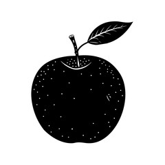vector illustration of an apple