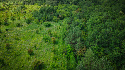 Aerial photo of green wildlife in summer