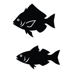 Two silhouettes of fish underwater aquatic marine life ocean sea creatures