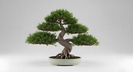 Bonsai tree isolated on white background. Japanese art of miniature trees symbolizing balance and nature.
