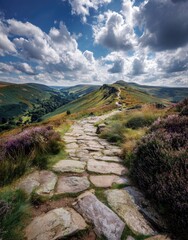 Stone path ascends a mountain ridge, wildflowers, blue sky, clouds