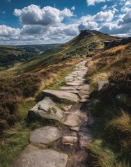 Sunny mountain path winds upward to a peak