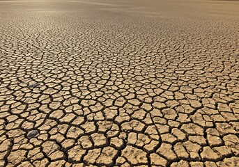 The cracked, dusty earth of a parched riverbed, a symbol of environmental climate change