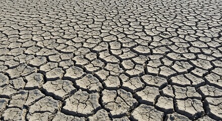 The cracked, dusty earth of a parched riverbed, a symbol of environmental climate change