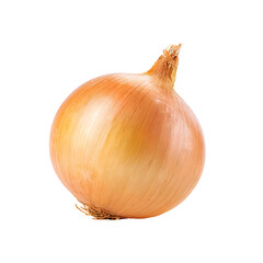 Single onion, pale yellow, round, whole