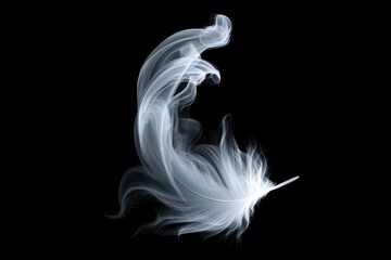 Abstract Feather in Motion Against Black Background