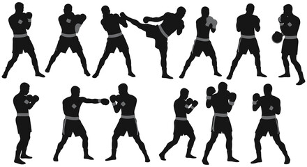 Silhouettes of martial artists demonstrating various fighting stances and techniques