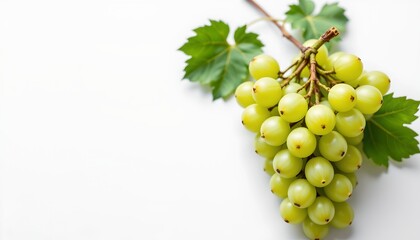 A bunch of green grapes placed in front of a bunch of red grapes. They are both displayed against a white background, with a single leaf from a grapevine visible on the left side of the frame.