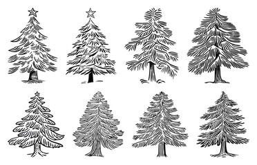 PNG Vintage evergreen tree illustrations collection, element set on transparent background
