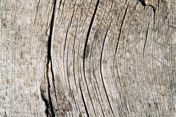 The texture of old wood with wavy cracks. The surface of an old wooden board