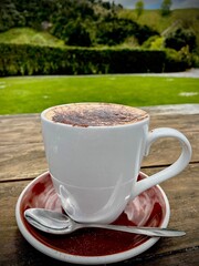 Cup of Cappuccino on a Wooden Table in a Scenic Park