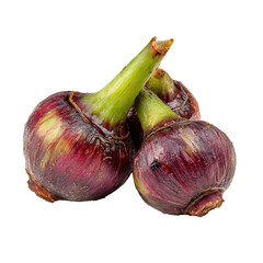 Fototapeta premium Two purple bulbs with green stems