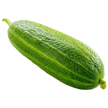 whole green sponge gourd luffa on transparent png background