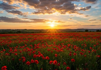 Golden hour light bathes a vibrant field of red poppies and green grass in a peaceful countryside setting
