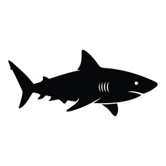 Silhouette of a fearsome shark swimming majestically through the ocean waters