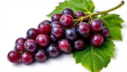 Fototapeta premium Fresh grapes, their red purple hue contrasting with the green leaf of a grapevine, both set against a white background.