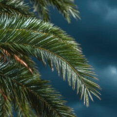 Lush green palm frond against a moody, dark teal sky