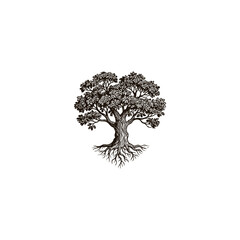 Fototapeta premium illustration of a lush tree with thick trunk and exposed roots, enclosed within a white heart shape. vector template