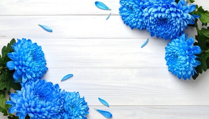 Vibrant blue chrysanthemum blossoms arranged in a decorative corner design on a light wooden surface, creating a delicate and elegant floral composition.