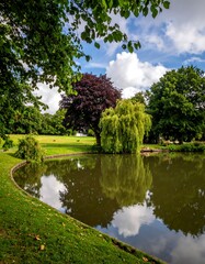 Obraz premium Park pond reflecting sky and trees