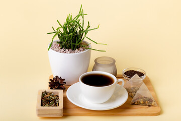 Cup of black tea, home plant rhipsalis, candle and tea leaves in a beautiful composition on beige background. Tea time. Tasty hot tea. Cozy atmosphere.