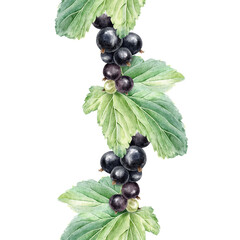 Black ripe currant berry bunch and leaves seamless border. Summer print of garden cassis fruits. Hand drawn botanical background for cosmetic packaging, table textile, fabric
