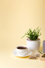 Cup of black tea, home plant rhipsalis, candle and tea leaves in a beautiful composition on beige background. Tea time. Tasty hot tea. Cozy atmosphere.