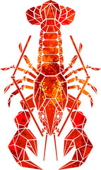 Red polygonal lobster