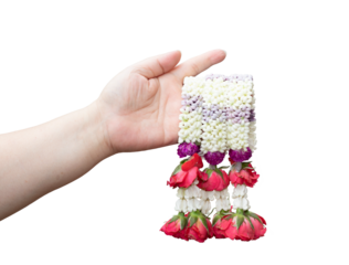 Woman's hand hold garland on transparent background (PNG File)