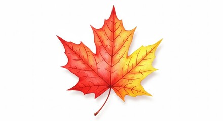 Obraz premium Vibrant autumn maple leaf isolated on white background in fall colors