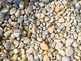 Colorful pebbles scattered on the ground create a natural mosaic in a tranquil outdoor setting