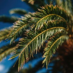 Close-up of vibrant green palm fronds against a deep blue sky; sunlight highlights the textures and subtle color variations within the leaves