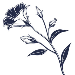 black and white eustoma