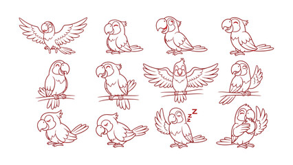 Tropical Parrot Sketch Collection: A collection of sketches showcase parrots in various poses, each radiating unique charm, perfect for adding a touch of tropical allure to any creative project.
