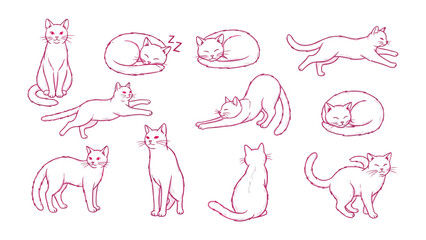 Playful Cat Outlines: Collection of various sketched cats capturing diverse poses and expressions, showcasing their graceful forms and charming behaviors.  © Azizun