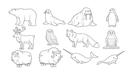 Arctic Animals Collection: A collection of meticulously drawn Arctic animal illustrations, featuring a polar bear, seal, walrus, penguin, reindeer, owl, fox, muskox, and narwhal. © Azizun
