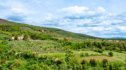 Obraz premium Stunning view of rolling hills with olive groves and historic buildings in Tuscany, Italy