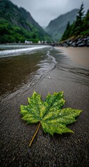 Rain-kissed maple leaf on a wet, dark-sand beach, with a misty mountain backdrop and gentle waves lapping the shore