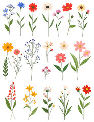 Seamless colorful floral pattern illustration with spring flowers and leaves on white background