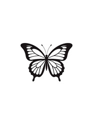 A colorful swallowtail butterfly with spread wings on a white background