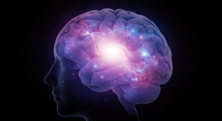 human brain in the dark