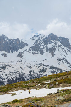 A group of hikers in the French Alps