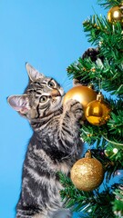 Kitten playing on Christmas tree