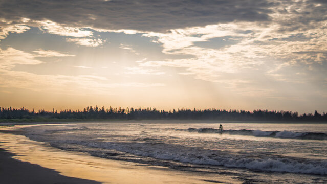 Surfer riding wave at sunrise with beach, trees, and ocean