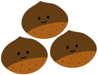 chocolate chip cookies 밤 밤캐릭터