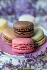 Colorful macarons arranged elegantly on a purple plate surrounded by delicate lavender flowers, showcasing a luxurious and indulgent dessert experience with copy space