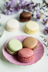Colorful macarons arranged elegantly on a delicate pink plate surrounded by lavender flowers, showcasing a luxurious and indulgent dessert experience with copy space
