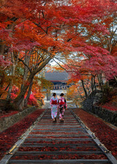 Japanese Woman in Traditional Kimono Dress at Bishamondo Temple with beautiful foliage in autumn in Kyoto, Japan