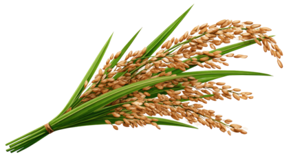 A stylized illustration of a rice bunch